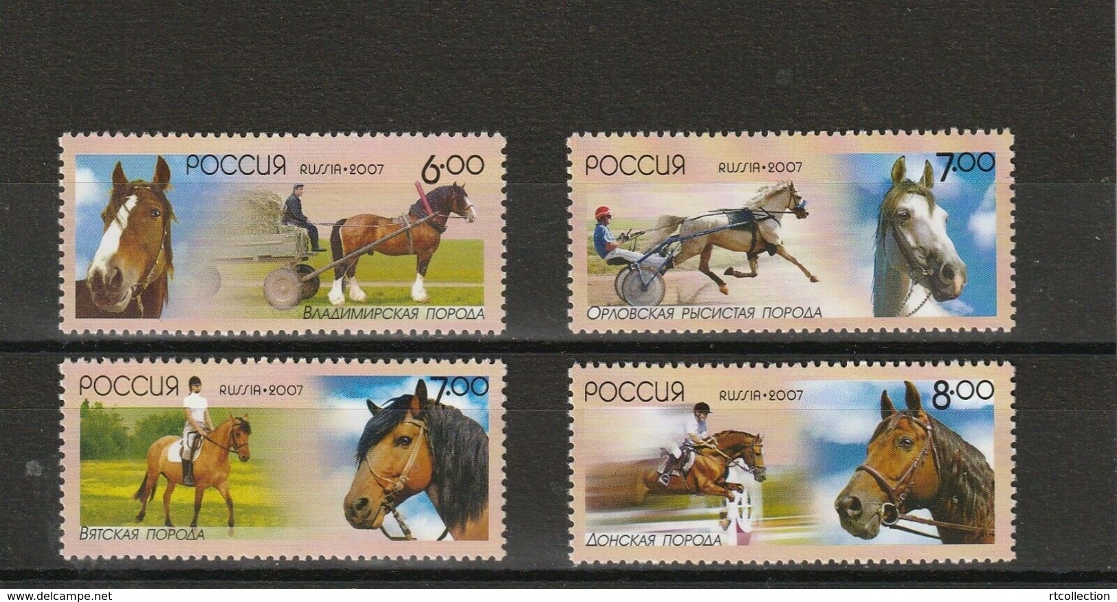 Russia 2007 Native Horse Breeds Domestic Horses Riding Sports Racing Mammals Fauna Farm Animals Stamps MNH Mi 1441-1444 - Horses