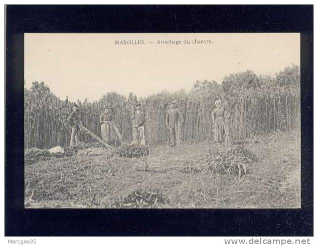 72 Marolles Les Braults Arrachage Du Chanvre édit.belluau ,animée  Agriculture, Rare - Marolles-les-Braults