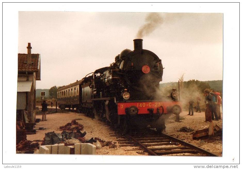 LONGUEVILLE SEINE ET MARNE PHOTO MODERNE : " Manifestation Gare Train Locomotive à Vapeur " - Ferrocarril