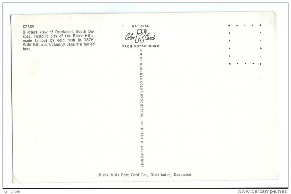 USA, Birdseye View Of Deadwood, South Dakota, 1950s Unused Postcard [P8097] - Other & Unclassified