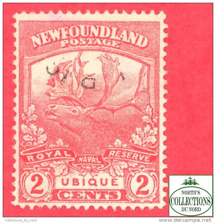 Canada  Newfoundland # 116  Scott /Unisafe - O - 2 Cents - Trail Of The Caribou Issue - Dated 1919 - 1908-1947