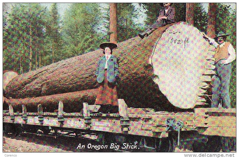 8698    PORTLAND    BIG STICK   Bois Sur Chemin De Fer  Circulée  1909 - Portland