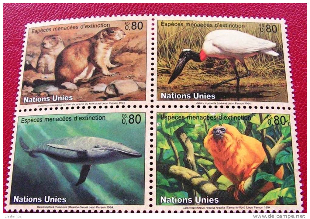 == UNO Genf  BLOCK 1994  245-248   ** MNH &euro; 5,00  Flora Fauna Tiere Birds.. - Blocs-feuillets