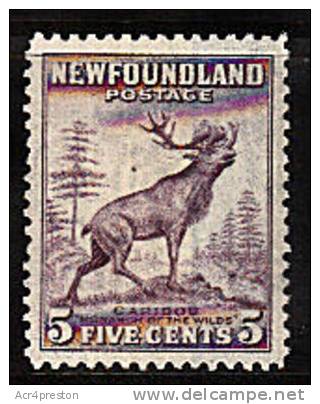 Msc172 Newfoundland 1932, SG213 5c Perkins Bacon Issue, Mounted Mint - Ungebraucht