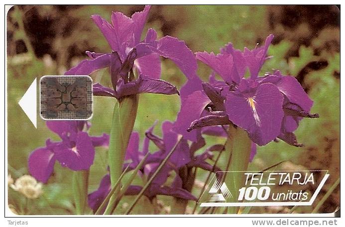 AND-008 TARJETA DE ANDORRA DE LA FLOR IRIS SERIE 39531 - Andorra