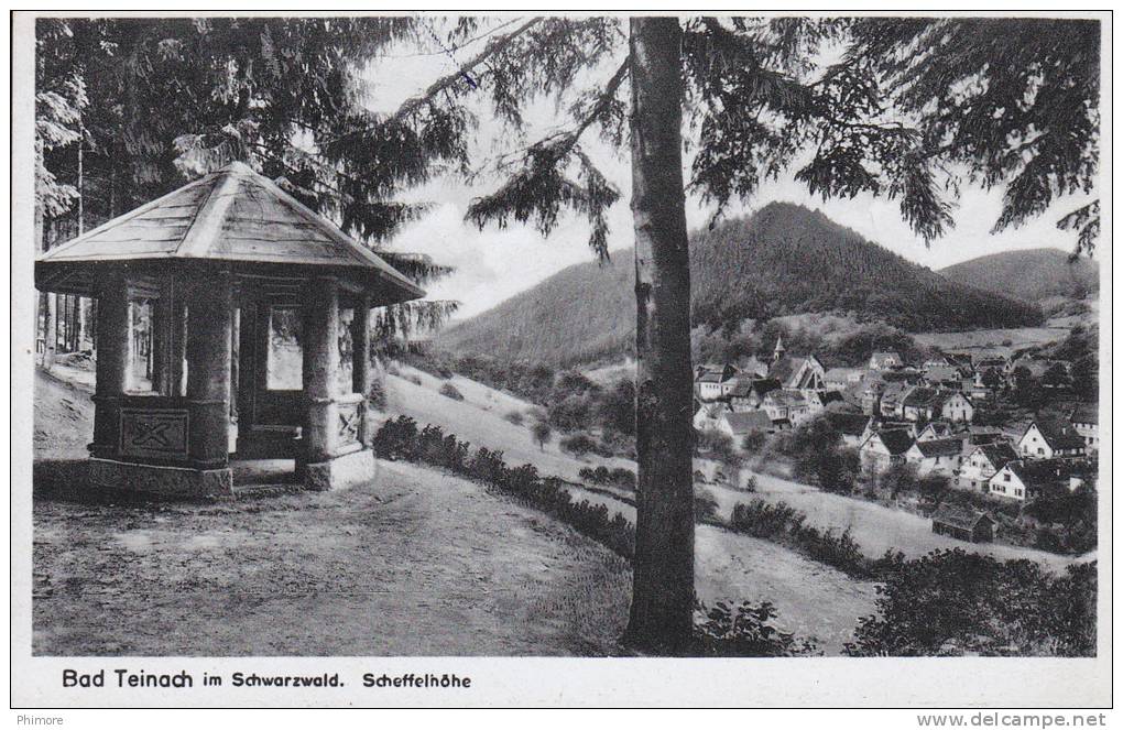 Ph-CPSM Allemagne Bad Teinach Im Schwarzwald (Bade Wurtemberg) Scheffelhöhe - Bad Teinach