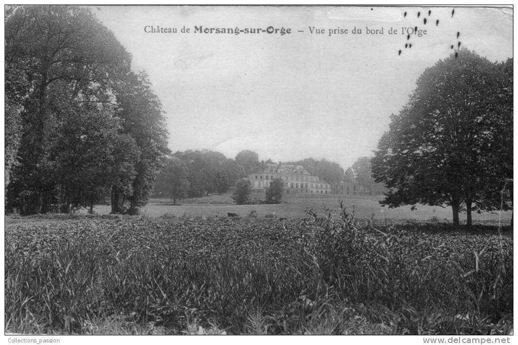 Cp , 91 , MORSANG SUR ORGE , Le Château , Vue Prise Du Bord De L'Orge , Voyagée - Morsang Sur Orge