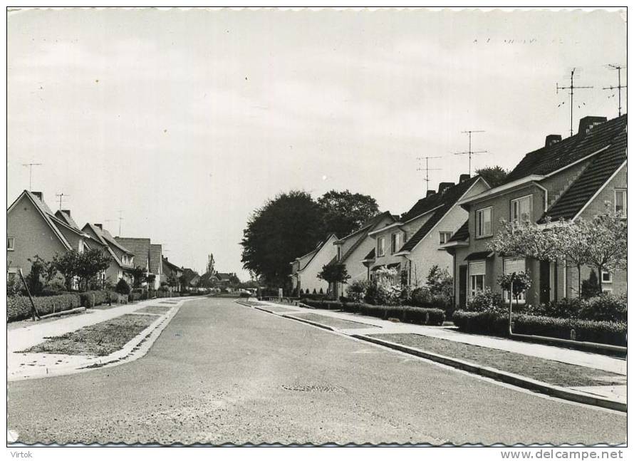 ESSEN  :   Nieuwe Wijk    ( GROOT FORMAAT ) - Essen