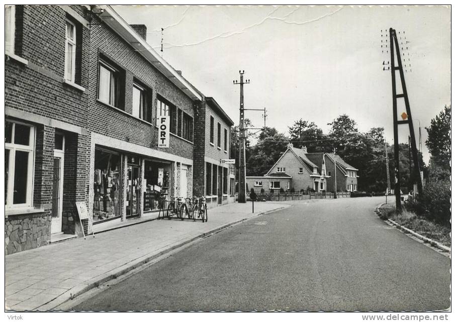 GEEL Ten Aart :  Aartsteenweg      ( GROOT FORMAAT ) - Geel