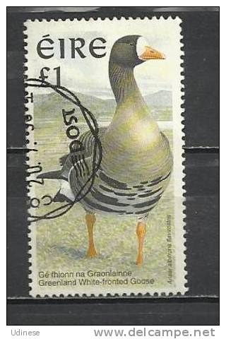 IRELAND 1997 - BIRD 1.00 - USED OBLITERE GESTEMPELT - Canards