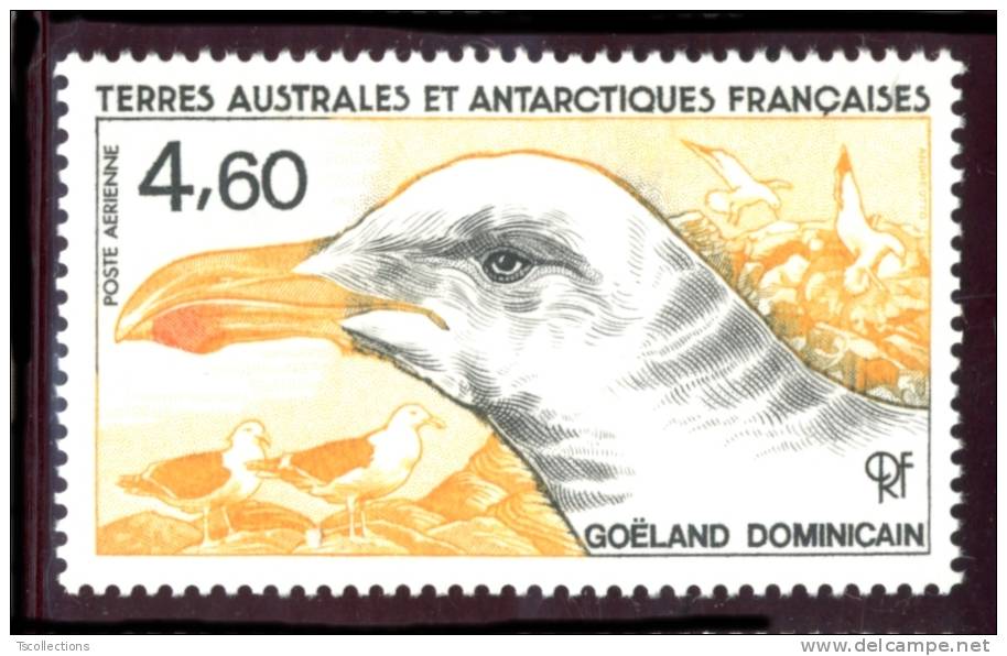 T.A.A.F. PA 92 Faune Antarctique. Goéland Dominicain - Poste Aérienne