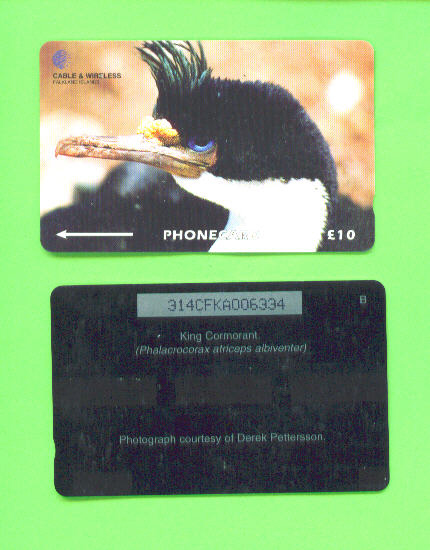 FALKLAND ISLANDS - Magnetic Phonecard As Scan - Islas Malvinas