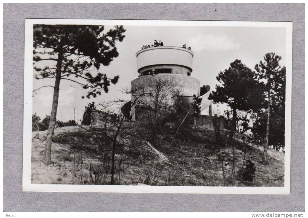 26144    Paesi  Bassi,     Het  Kopje  Van  Bloemendaal,  Hoogste  Duin  Van  Naderland,  VG  1955 - Bloemendaal