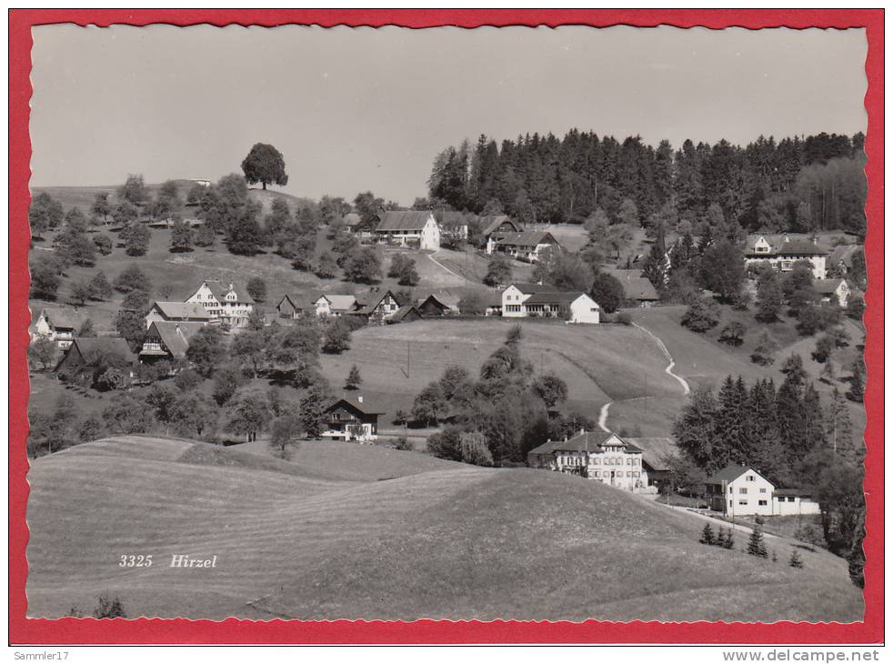 HIRZEL, GROSSFORMAT - Hirzel