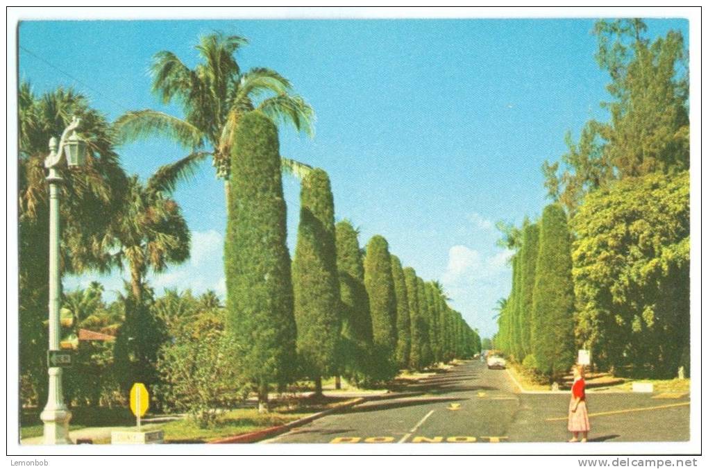 USA, Wells Road, Palm Beach, Florida, 1950s Unused Postcard [P8109] - Palm Beach