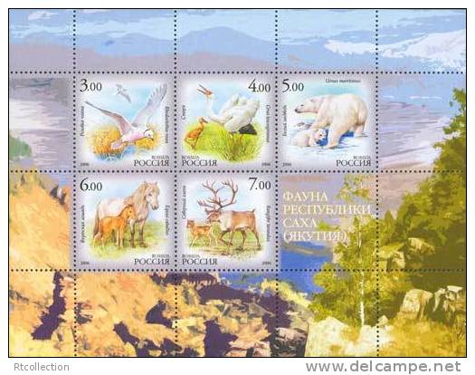 Russia 2006 Sakha Republik Fauna Jakutia Animals Animal Horses Polar Bears Birds Owls Nature Mammals MNH Scott 6999a - Ours