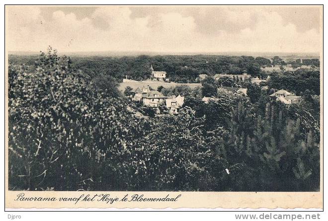 Bloemendaal  Panorama Vanaf Het Kopje - Bloemendaal