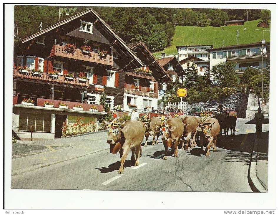 CP ALPABTRIEB - Fürstentum Liechtenstein - Liechtenstein