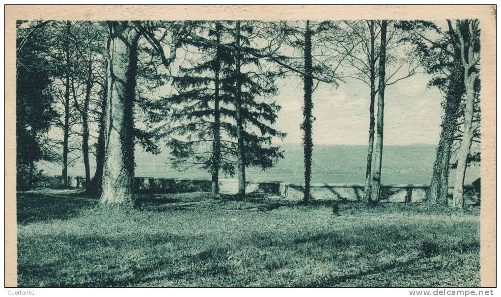 ( CPA 78 )  MAGNANVILLE  /  Sanatorium - L´ Association Léopold Belland - Vue Panoramique Du Parc Sur Mantes - - Magnanville