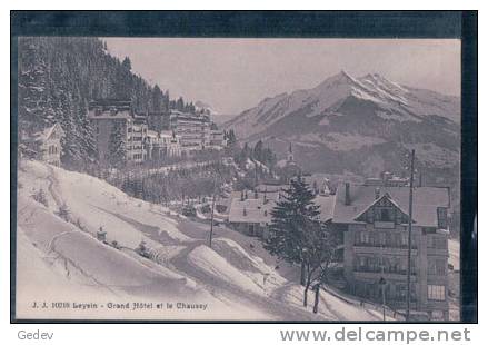 Leysin Grand Hôtel (JJ 10216) - Leysin