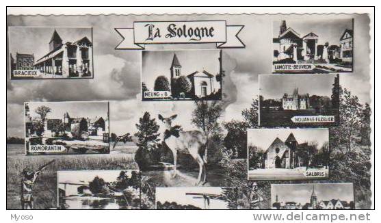 Paysages De SOLOGNE Bracieux,Neung,Lamotte,Nouan,Salbris,Vierzon,Mennetou,Villefranche,Romorantin,biche, Chasseur - Altri