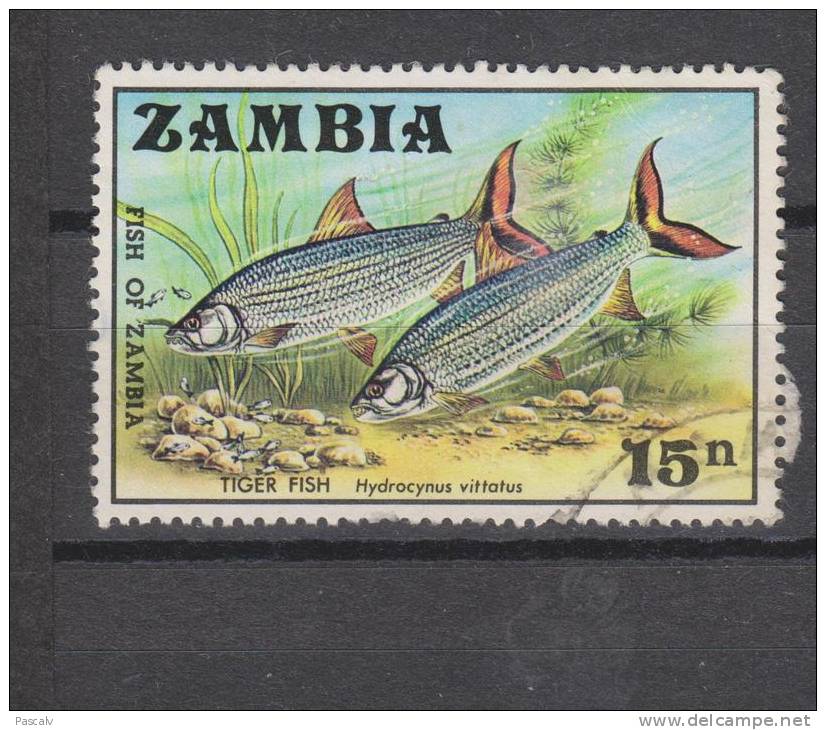 Yvert 76 Oblitéré - Zambia (1965-...)