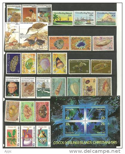 2 Années Complètes 1985 & 1986.  31 T-p Neufs ** + 1 B-F .    Cote 79.50 € - Cocos (Keeling) Islands