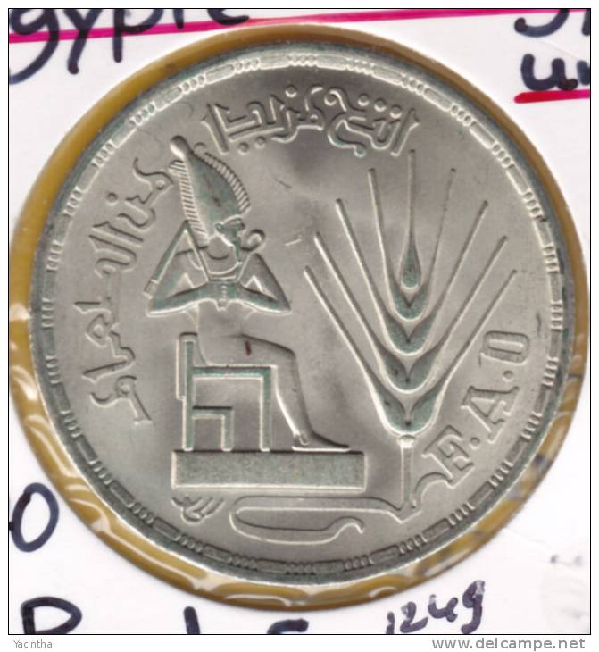 @Y@   Egypte  1 Pond  1976  Unc     (1249)  FAO  Zilver - Aegypten