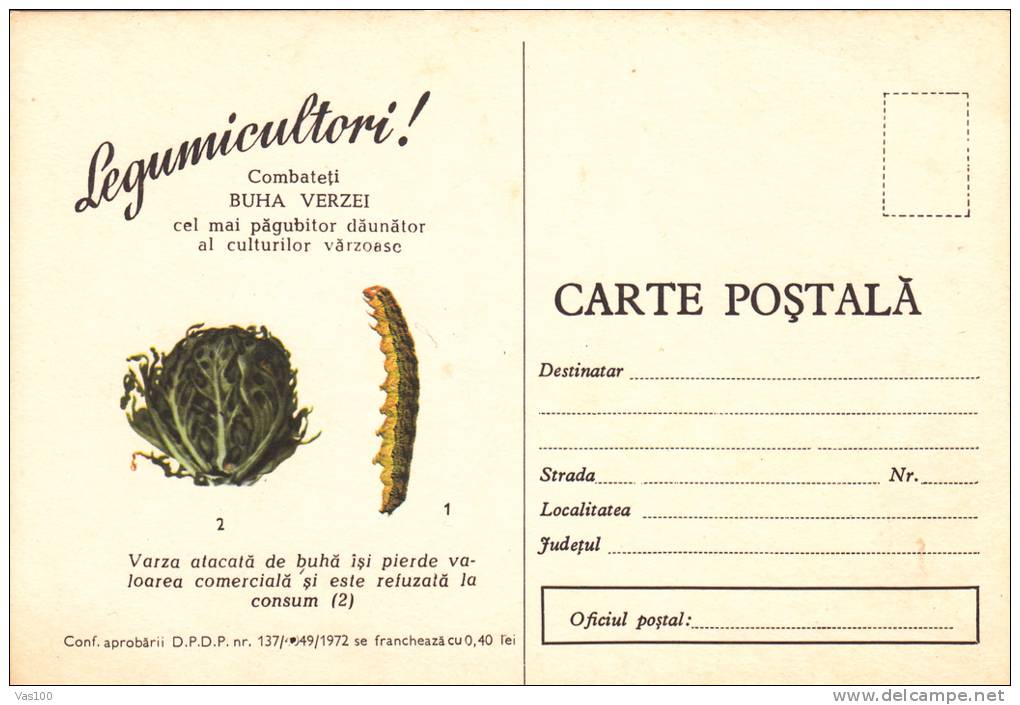 CABAGE, MUST BE PROTECTED FROM WORMS, 1972, CARD STATIONERY, ENTIER POSTAL, UNUSED, ROMANIA - Groenten