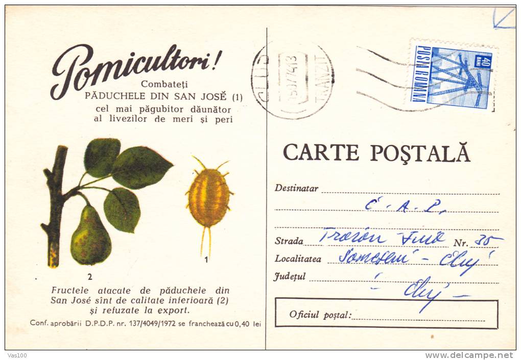 APPLES AND PEARS, SAN JOSE LOUSE - MOST DAMAGING WORM, 1972, CARD STATIONERY, ENTIER POSTAL, SENT TO MAIL, ROMANIA - Groenten