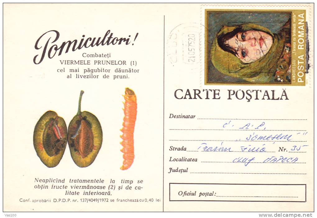PLUMS, MUST BE PROTECTED FROM WORMS, 1972, CARD STATIONERY, ENTIER POSTAL, SENT TO MAIL, ROMANIA - Groenten