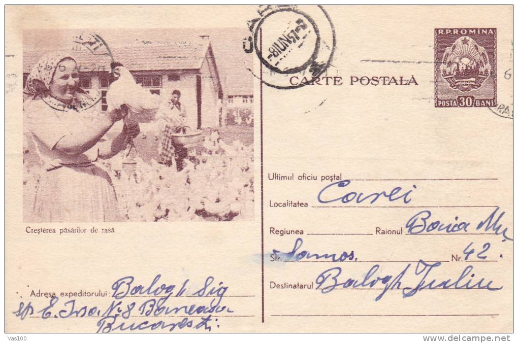 RAISING OF BIRDS, 1957, CARD STATIONERY, ENTIER POSTAL, SENT TO MAIL, ROMANIA - Hoendervogels & Fazanten