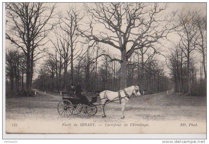 SENART 91 FORET CARREFOUR DE L'ERMITAGE BEL ATTELAGE CHEVAL BELLE CARTE ANIMEE RARE !!! - Sénart