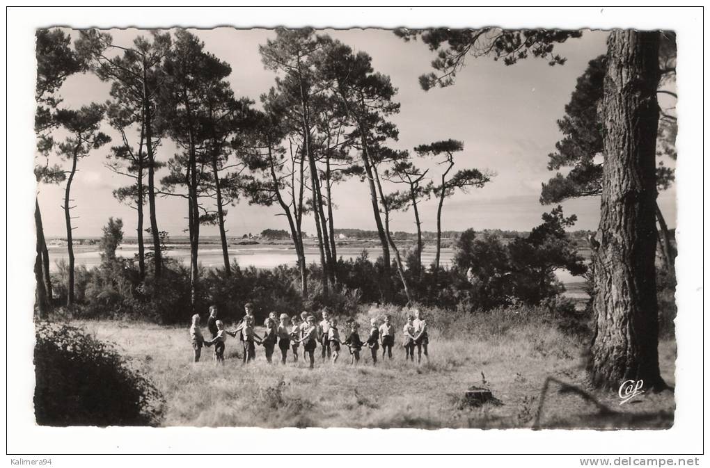 MORBIHAN  /  LA  TRINITE-sur-MER  /  COLONIE  DE  VACANCES  DE  BAYEUX , DANS  LE  DOMAINE  DE  KERVODRAS  /  LE  PARC - La Trinite Sur Mer