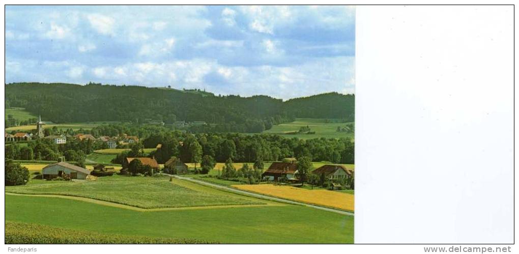 SUISSE *** CANTON DE VAUD *** PALEZIEUX *** SA PLAINE FERTILE *** LES MAISONS DE SERIX - Palézieux