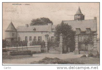 Senzeilles Senzeille Château  ( Voir Dos De La CP ) - Cerfontaine