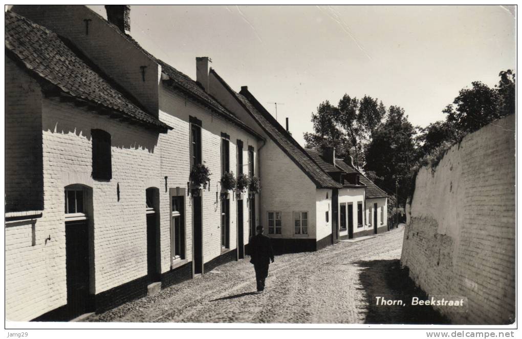 Nederland/Holland, Thorn, Beekstraat, Ca. 1960 - Thorn