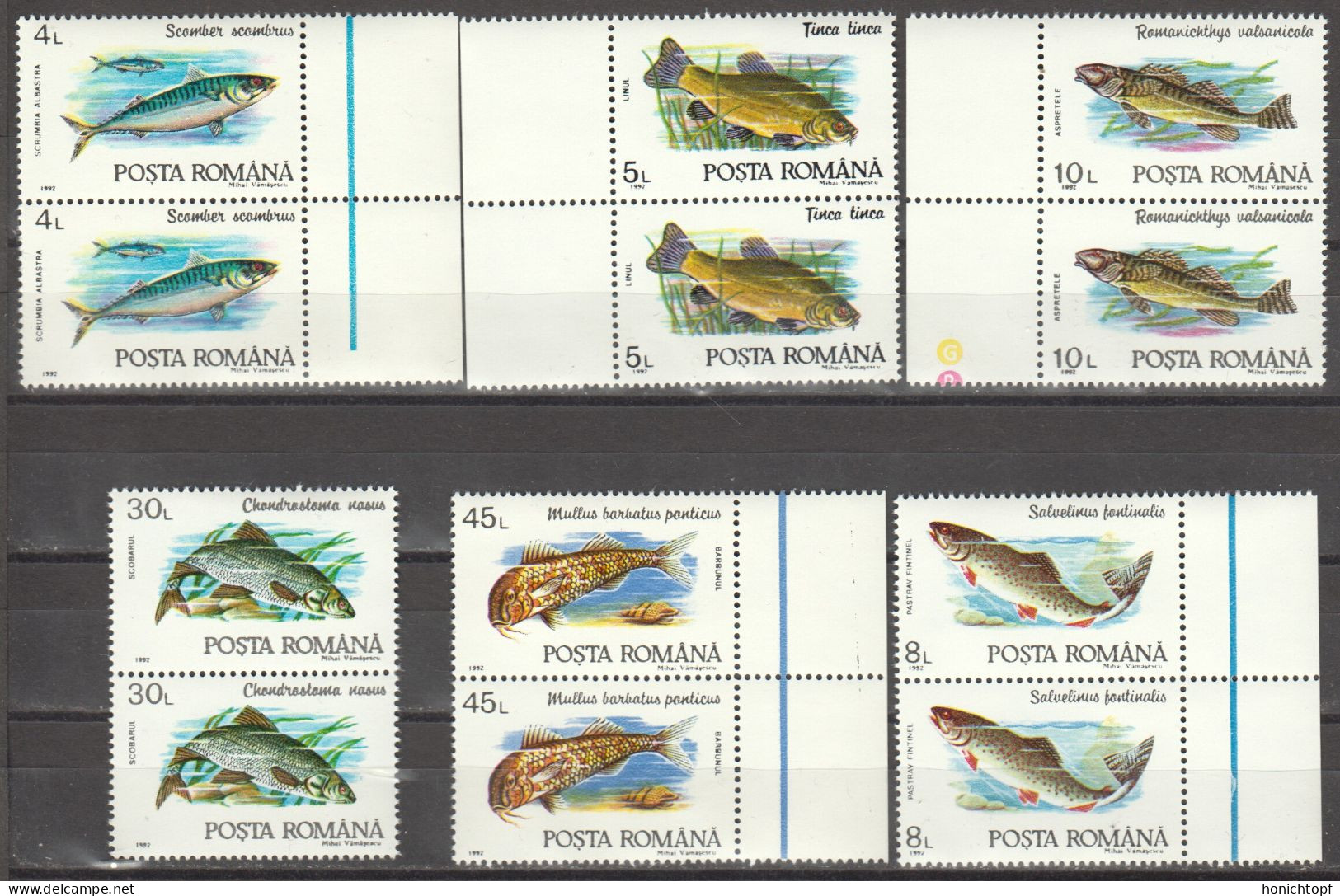 Rumänien; 1992; Michel 4776/81 **; Fische, Doppelt; Rand - Nuovi