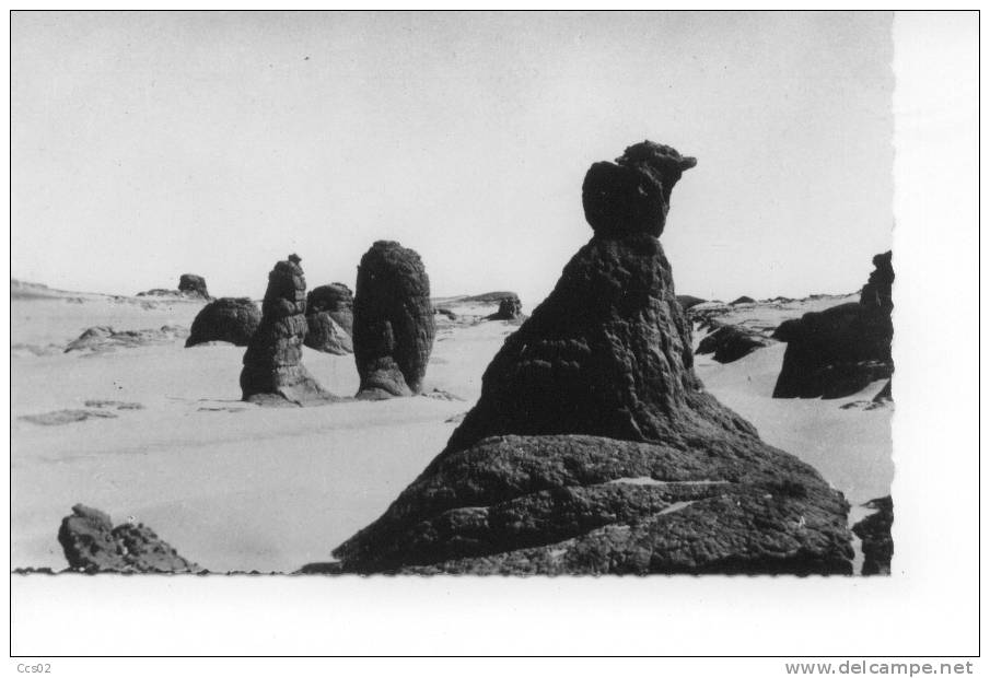 Fiche Photo, Sahara L'érosion - Sahara Occidental