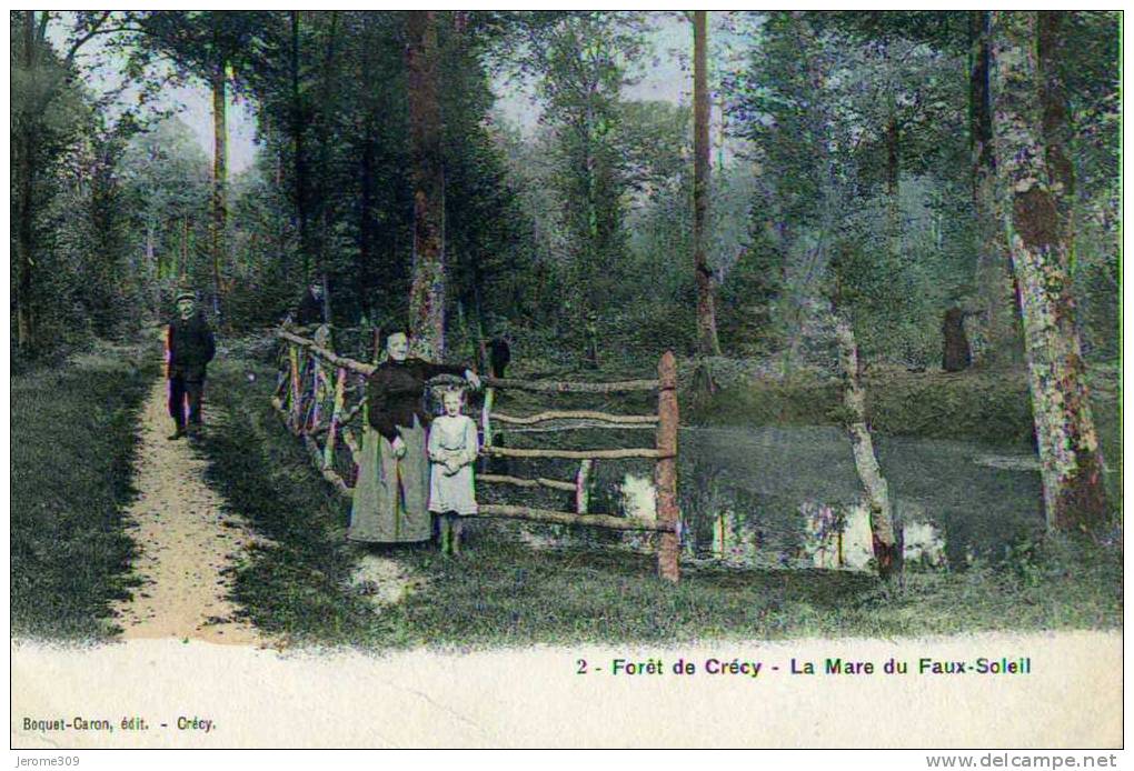 CRECY EN PONTHIEU - (80150) - CPA - N°2 - Crécy, Forêt De Crécy - La Mare Du Faux-Soleil - Crecy En Ponthieu