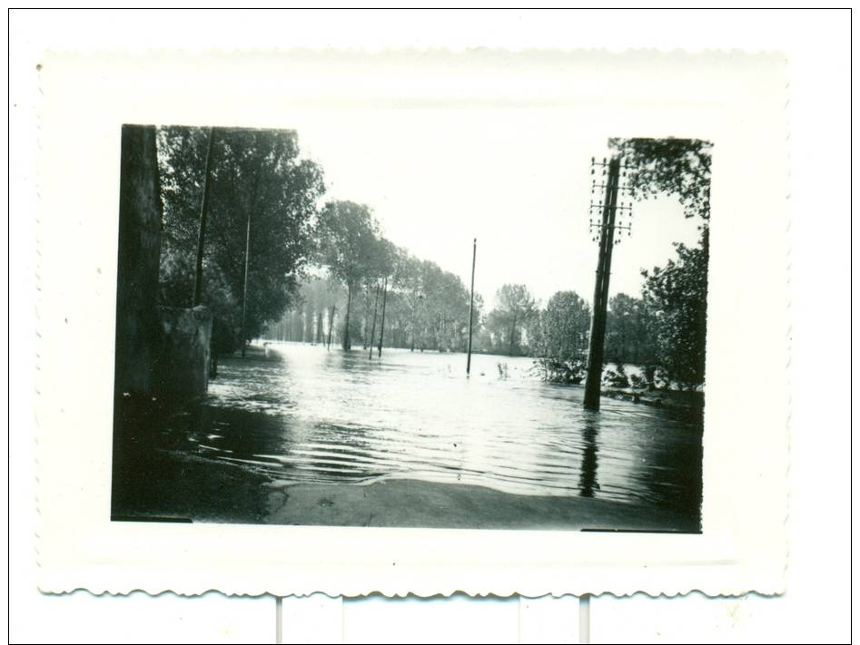 37 - INDRE ET LOIRE - Les Innondations Du Cher à SAINT AVERTIN - Mai 1940 - Photographie Format 10.3 * 7.7 Cms - - Photographie