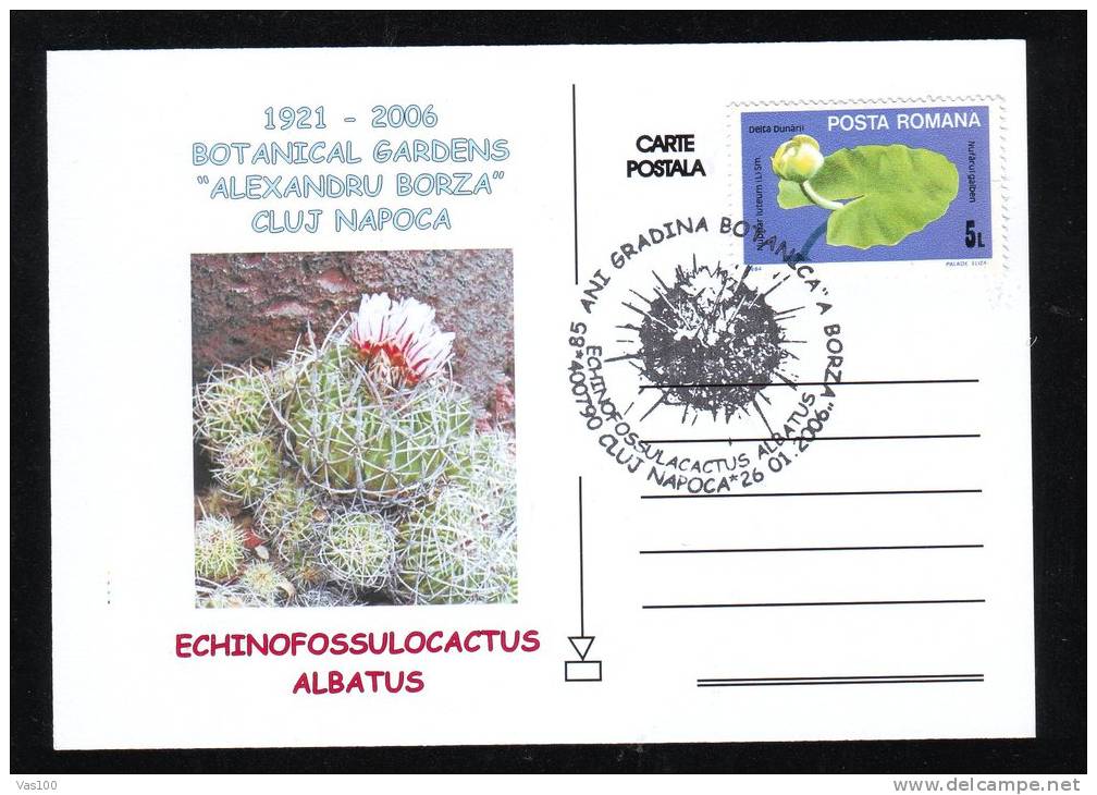 CACTUS FROM BOTANICAL GARDEN CLUJ NAPOCA, 2006, SPECIAL CARD, OBLITERATION CONCORDANTE, ROMANIA - Cactus