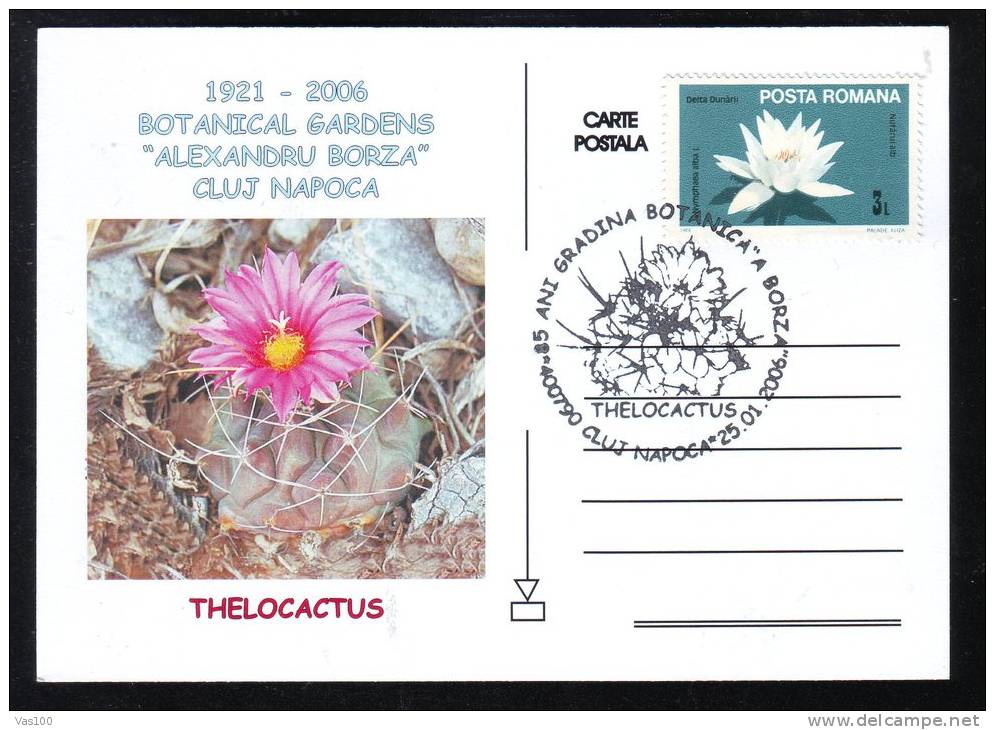 CACTUS FROM BOTANICAL GARDEN CLUJ NAPOCA, 2006, SPECIAL CARD, OBLITERATION CONCORDANTE, ROMANIA - Cactus