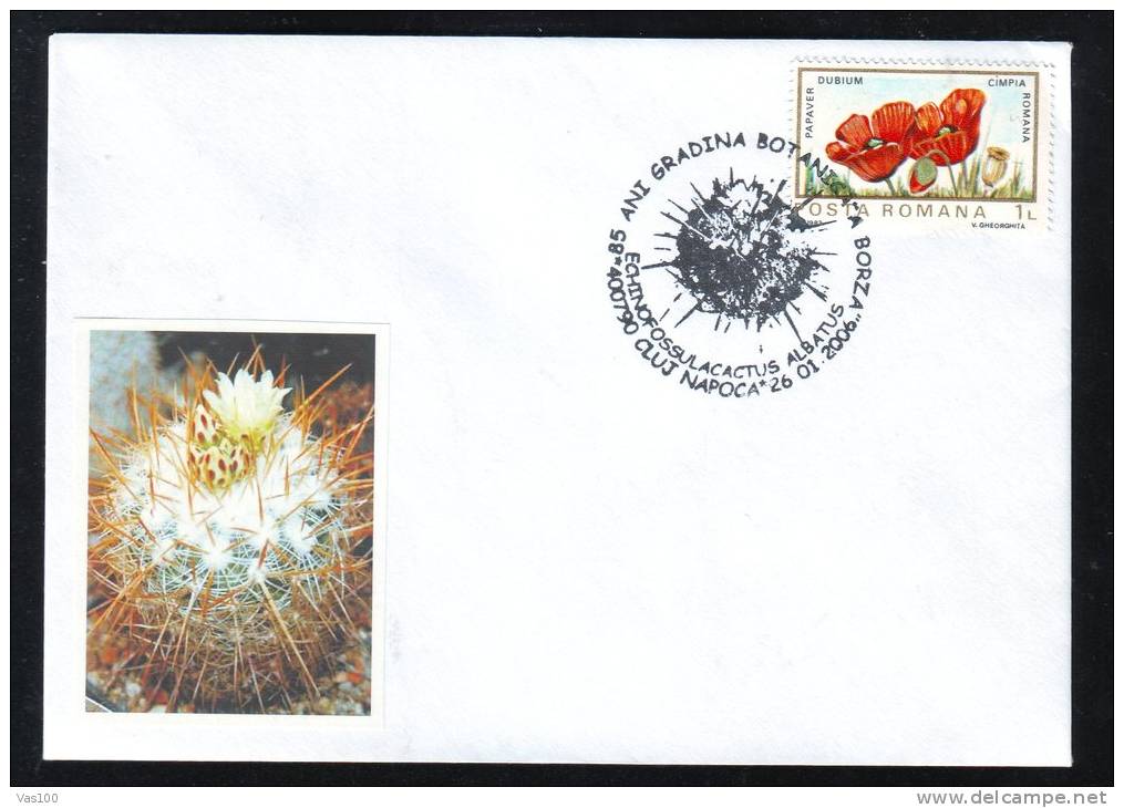 CACTUS FROM BOTANICAL GARDEN CLUJ NAPOCA, 2006, SPECIAL COVER, OBLITERATION CONCORDANTE, ROMANIA - Cactus