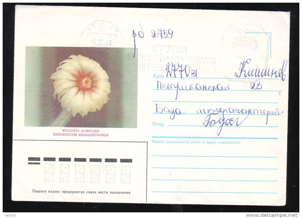 CACTUS, 1987, COVER STATIONERY, ENTIER POSTAL, SENT TO MAIL, RUSSIA - Cactusses