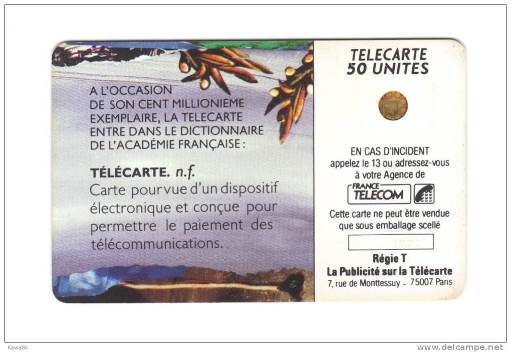 CARTE Télécarte  "  Télécarte Dans Le Dictionnaire  " - Other & Unclassified