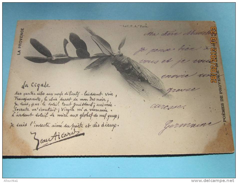 CPA Précurseur De 1904 La Cigale, Poème De Jean Aicard" Mes 4 Ailes…"la Provence CPA Postée à Saint-Hippolyte Du - Insectes
