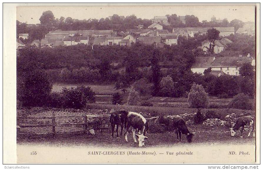 Haute-Marne   Saint Ciergues    Vue Générale - Andere & Zonder Classificatie