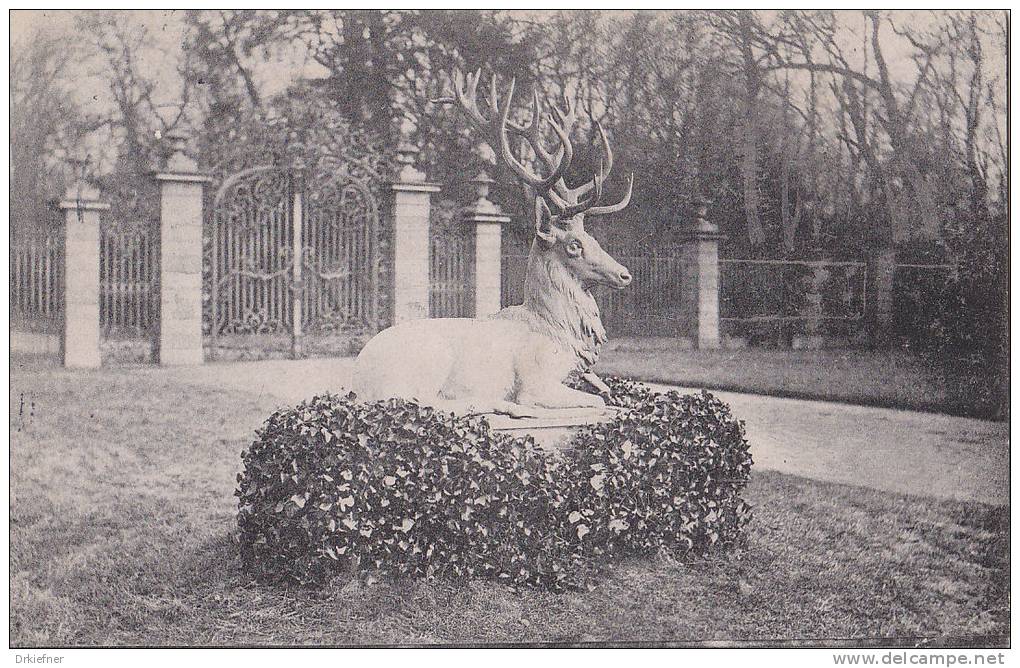 Karlsruhe, Parktor Im Schlosspark, Hirsch, Um 1909 - Karlsruhe