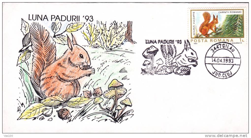 SQUIRREL 1993, SPECIAL COVER, OBLITERATION CONCORDANTE, ROMANIA - Rodents